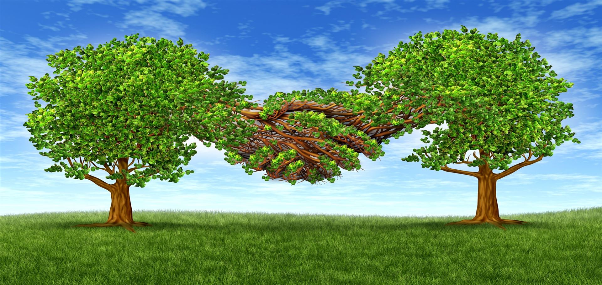 çözüm ortaklarımız