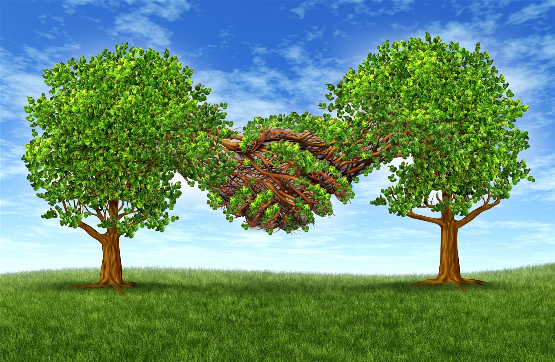 ÇÖZÜM ORTAKLARIMIZ